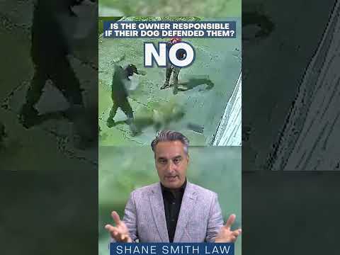 ¿Es Su Perro Responsable de Defenderlo? ¡Respuesta Legal!
