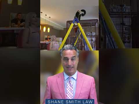 ¿Puedes tener animales exóticos en Carolina del Norte? Conoce tus derechos