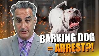 ¿Policía y Control de Animales en su Puerta? Lo Que Necesita Saber