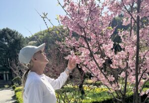 Holly looking at a cherry blossom tree